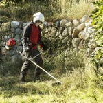 Мотокоса HONDA UMK 450 E UEET UMK450EUEET