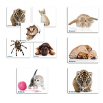 Коврик для мыши DEFENDER тканевый Silk+natural rubber, 010311