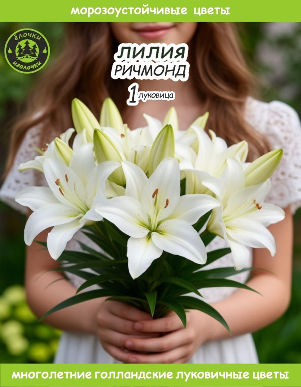 Лилия Луковица, Ричмонд, 1 шт