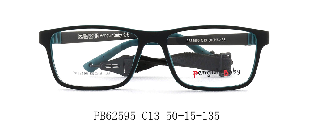 PB62595