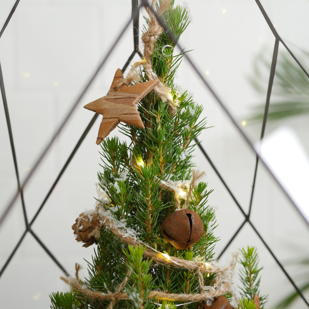 Готовый новогодний флорариум Ель Фаберже