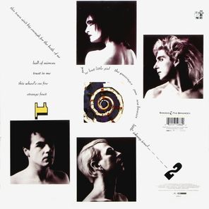 Siouxsie & The Banshees / Through The Looking Glass (LP)