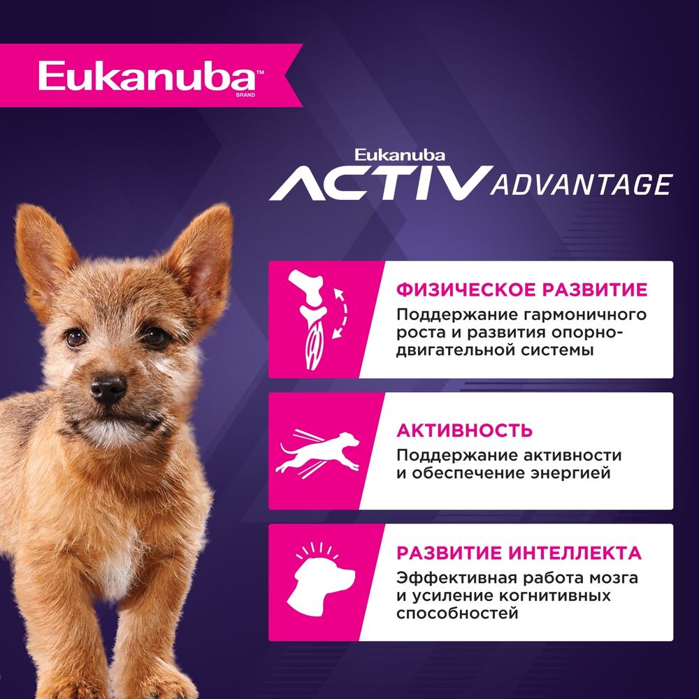 Сухой корм Eukanuba Puppy Small Breed ˂12 Months для щенков мелких пород с птицей Сухой корм Eukanuba Puppy Small Breed ˂12 Months для щенков мелких пород с птицей
