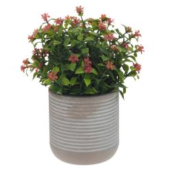 GAEM Цветочная композиция, L11 W11 H17 см, 3в.