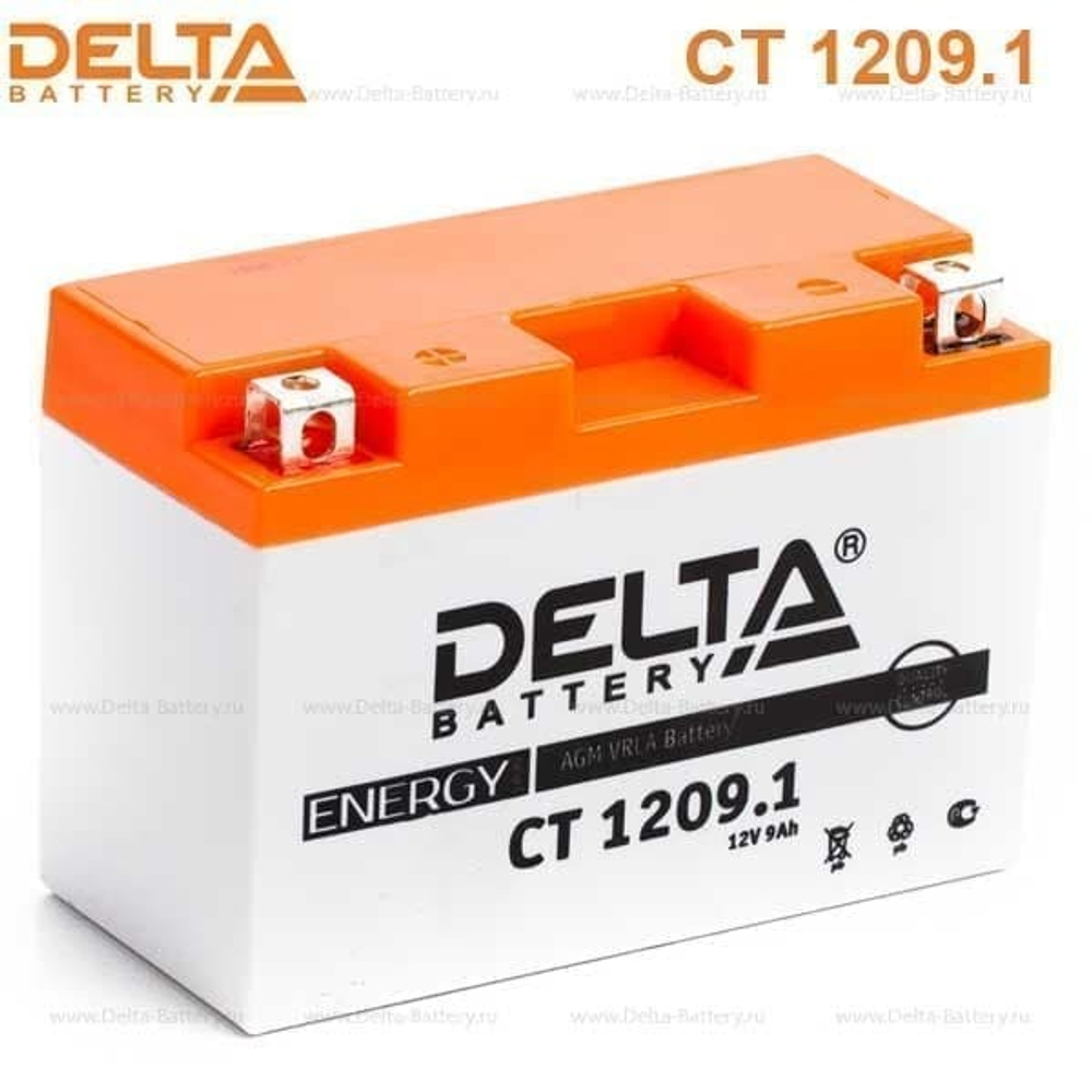 Аккумуляторная батарея Delta CT 1209.1 (12V / 9Ah) [YT9B-BS]