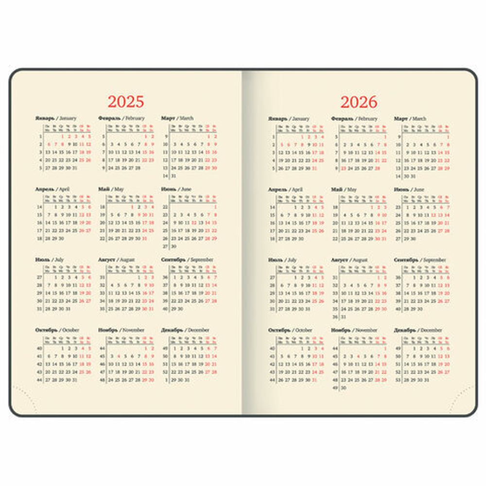 Ежедневник датированный 2025, А5, 143x218 мм, BRAUBERG "Journal", под кожу, застежка, органайзер, коричневый, 115883