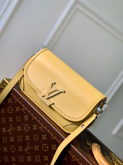Louis Vuitton Buci Bag