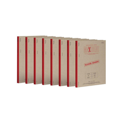 Альбом Stray Kids MAXIDENT (case ver.)