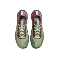 Мужские кроссовки Nike Pegasus Trail 4 Gore-tex 'Alligator' DJ7926-300