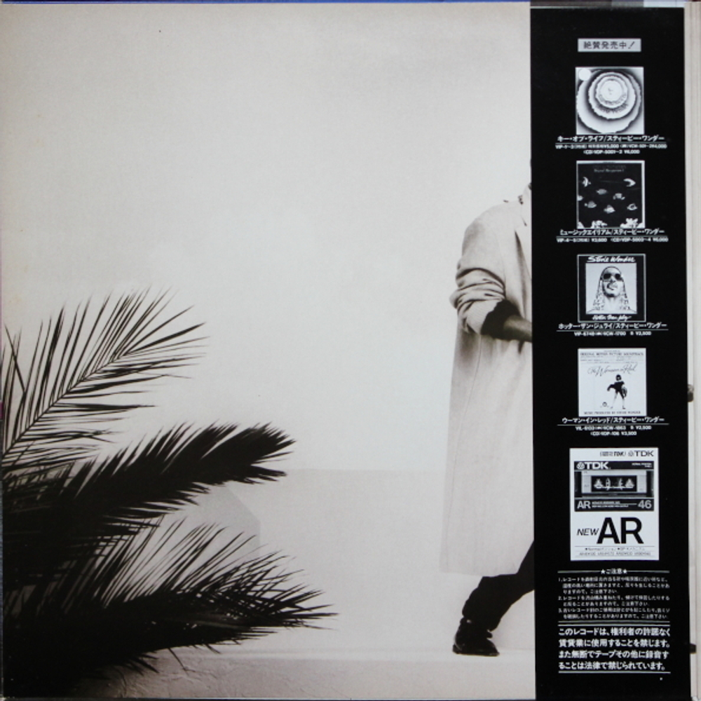 Stevie Wonder / In Square Circle (LP)
