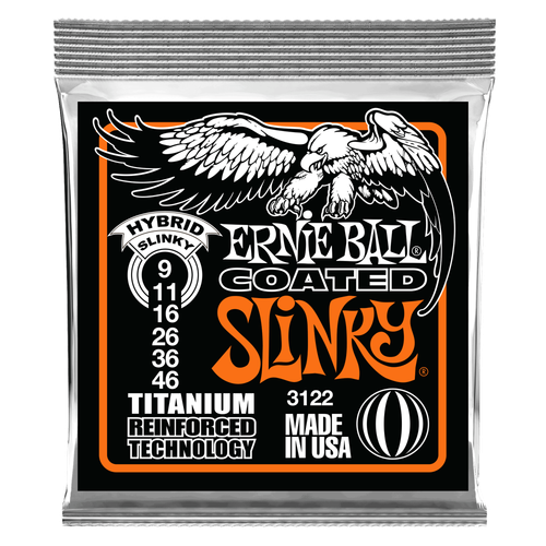 ERNIE BALL 3122