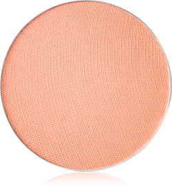 MAC Cosmetics Eye Shadow Pro Palette Refill Pan - тени для век, 1,5 g