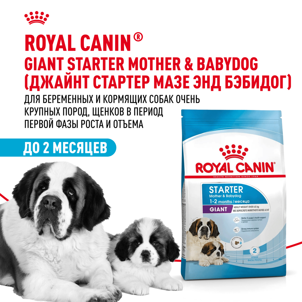 Royal Canin Giant Starter Mother & Babydog Джайнт Стартер Мазе энд Бебидог Корм для щенков гигантских пород в период первой фазы и отъема 15кг