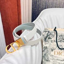 Christian Dior Reversible Belt