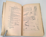"Исследования о ледниковом периоде". П.А. Кропотин. 1876г.