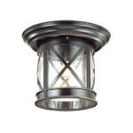 4045/1C NATURE ODL18 751 черный/зол.патина Уличный потолочный светильник IP44 E27 60W 220V SATION