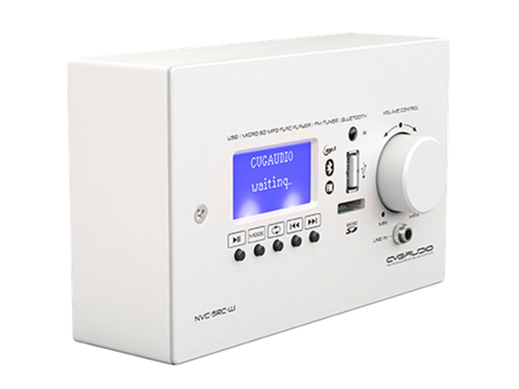 CVGAUDIO WS-NSRC-W - декоративный короб для накладного монтажа внешних настенных источников сигнала N-SRC