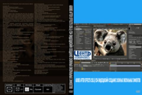 Adobe After Effects CS5.5/CS4 Видеодизайн и создание сложных визуальных эффектов