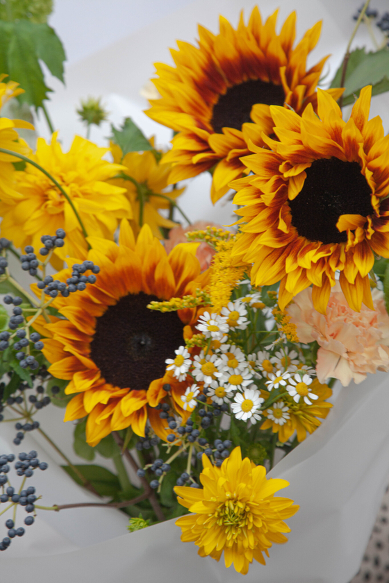 С любовью и подсолнухами