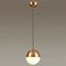 Подвесной светильник Odeon Light Pendant Pinga 4960/1