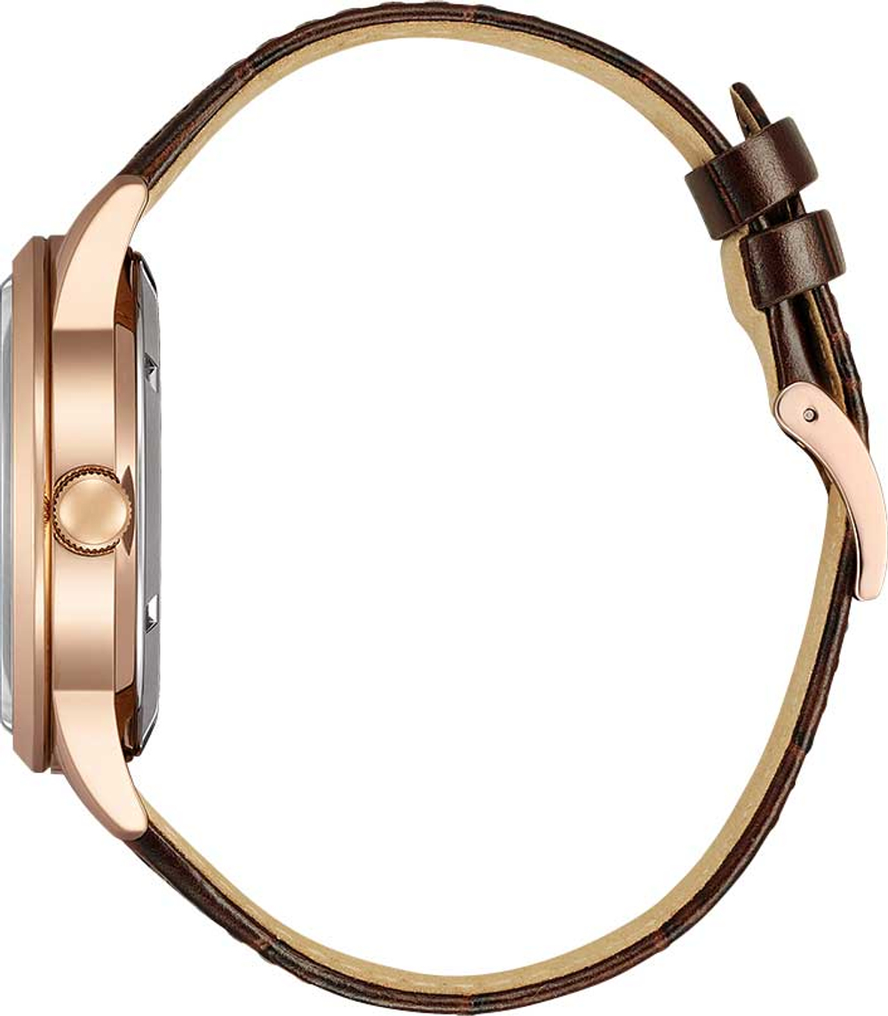Мужские наручные часы Citizen NY4062-04X