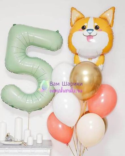 Набор шаров "Малыш-корги девочке на 5 лет"