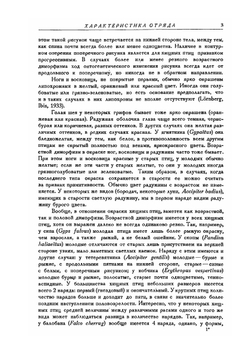 Фауна СССР. Птицы. Том 1. Дневные хищники | Б.К. Штегман