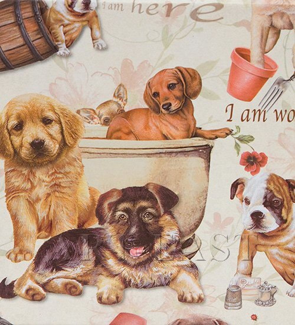 Packing Symphony WA-30-1/ 3 Коробка «Прямоугольник бол.»