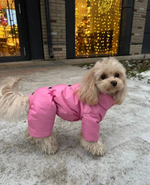 Зимний комбинезон для собак (девочка)