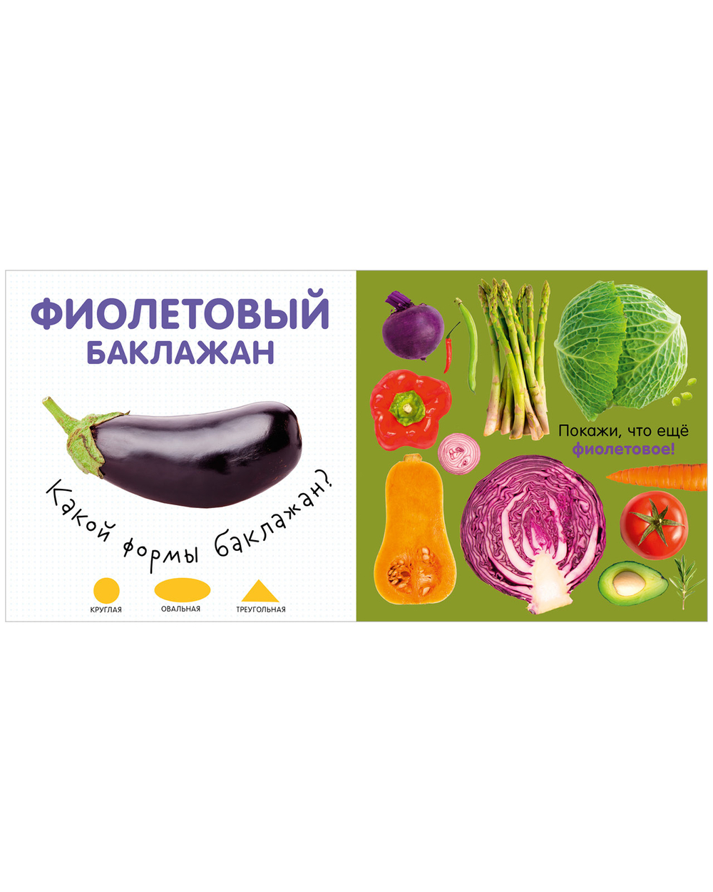 Первая фотокнига малыша. Цвета