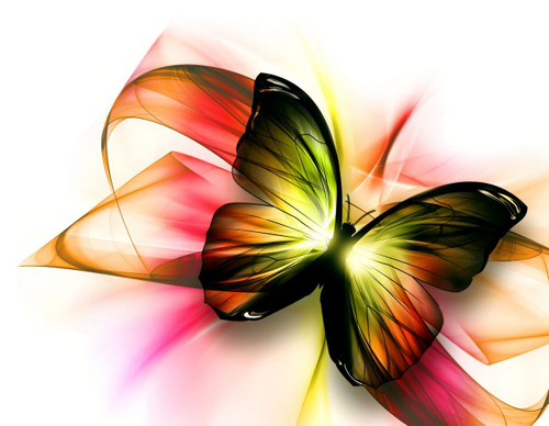 Фотообои 3-092 Радужная бабочка