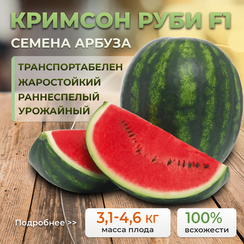 КРИМСОН РУБИ F1 семена арбуза (Sakata | Alexagro)