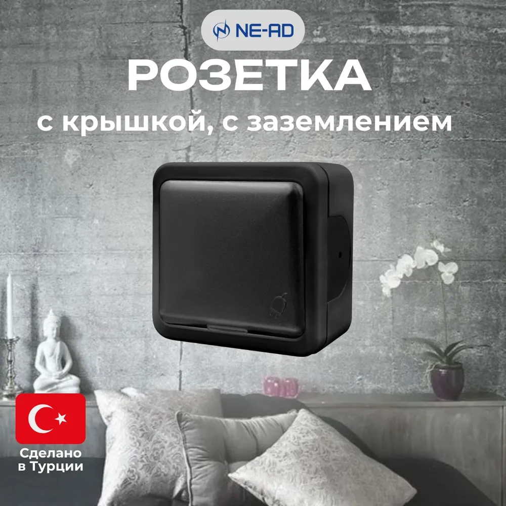 Розетка с крышкой NE-AD Multima с заземлением, для открытой проводки