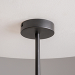 Подвесной светильник Maytoni MOD177PL-04B