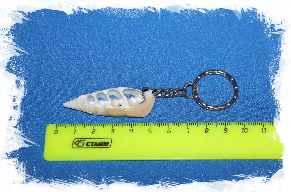 Брелок для ключей из среза ракушки Риноклавис Вертагус