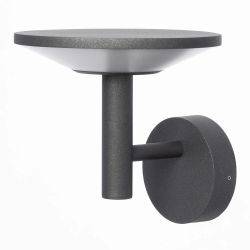 Citilux Dorn CLU05W LED Уличный настенный светильник Графит