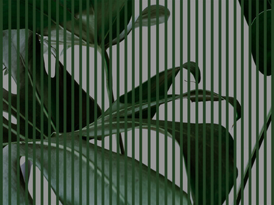 Дизайнерские обои Wall Street GreenDay-22