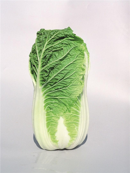 МИРАКО_F1_семена_капусты_пекинской_Bejo_семена_капусты – фото 1