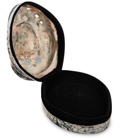 54-013-02 Декоративная шкатулка «Ракушка»