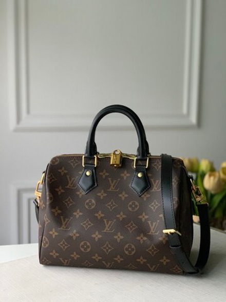 Louis Vuitton Speedy 25