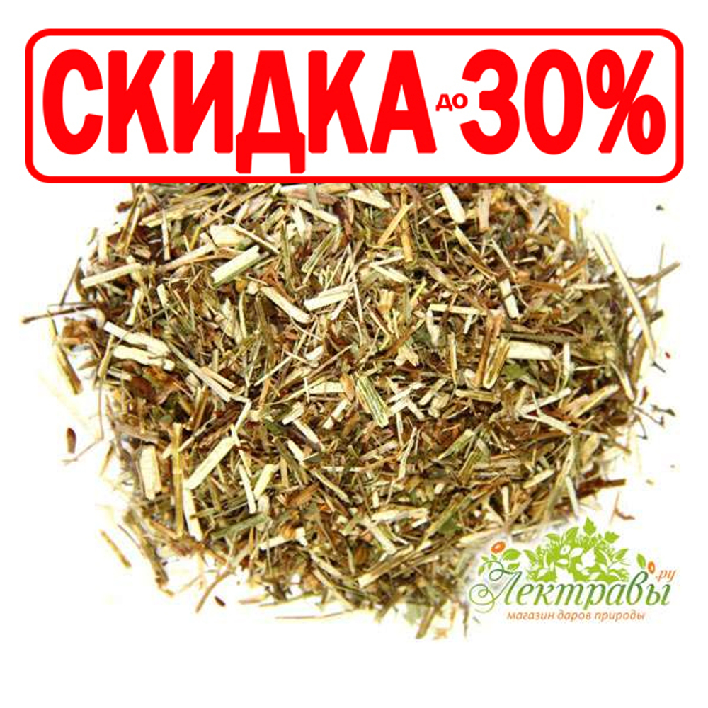 Цикорий (трава)