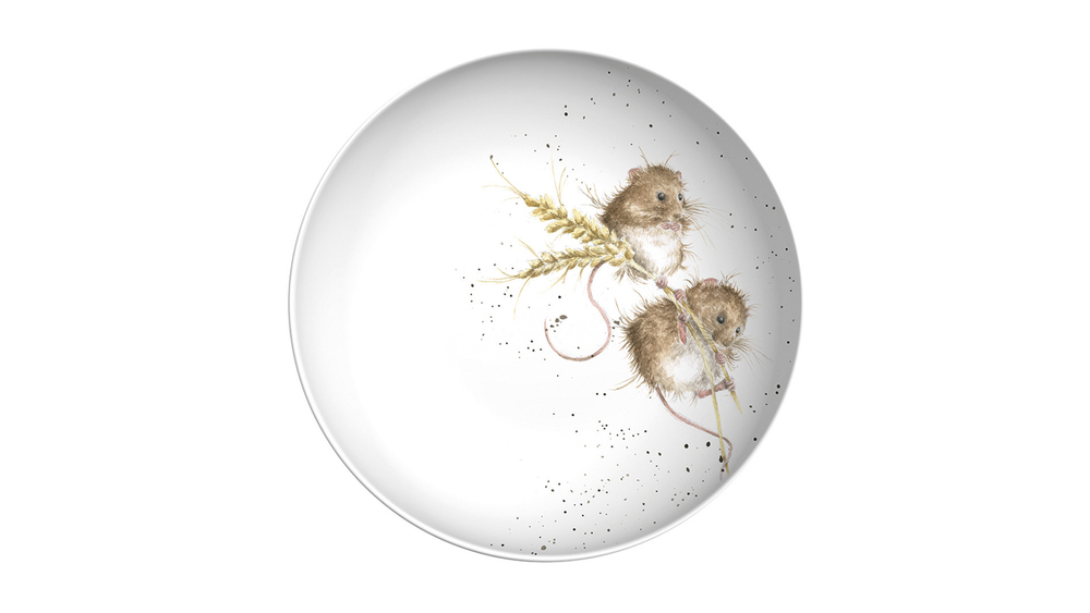 Тарелка для пасты 22см Royal Worcester Забавная фауна Мыши