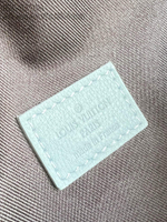 Louis Vuitton Rush Bumbag