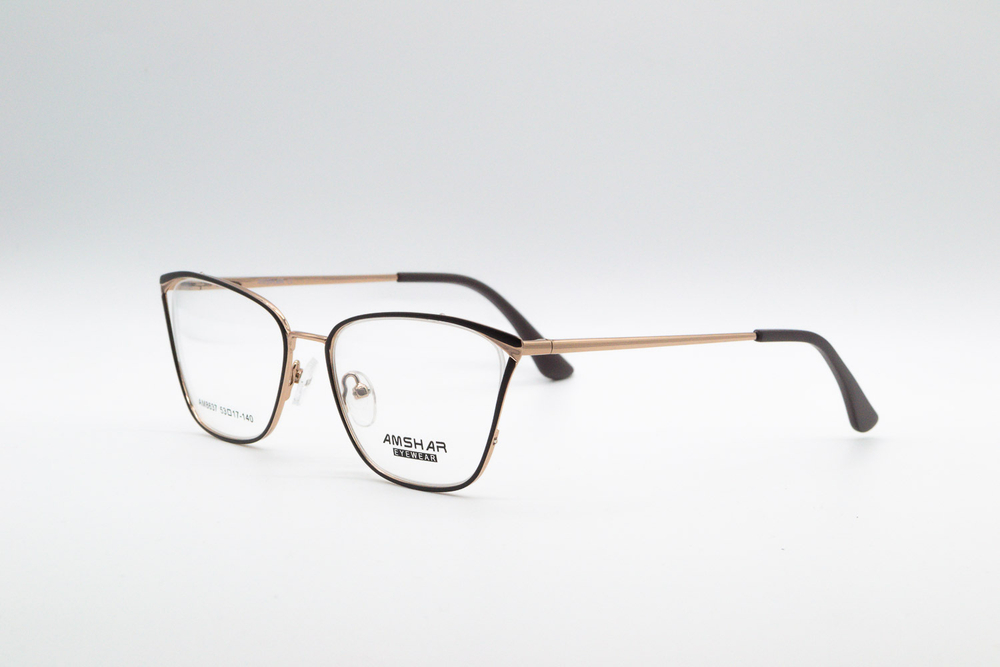 Изг. оправы Amshar AM8637 C4
