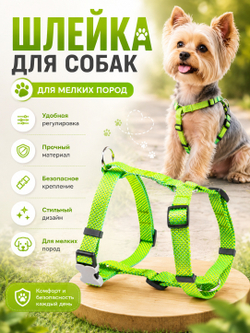 Шлейка NEO 1.5 см зеленая