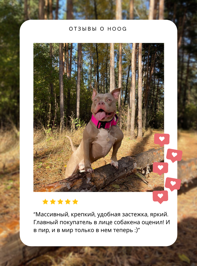 Холдер с гигиеническими пакетами Zee.Dog