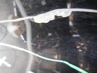 DSCN4788.jpg