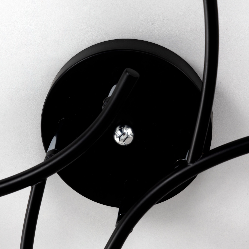 Citilux Флорида CL148145 Люстра потолочная Чёрная