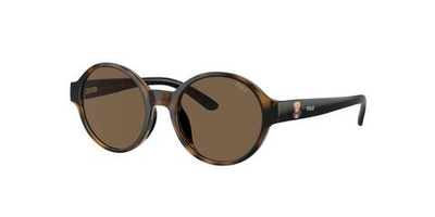 Солнцезащитные очки POLO RALPH LAUREN - коричневый(PP9508U)