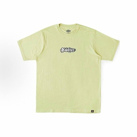 Футболка Dickies